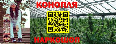 шишки Донецк